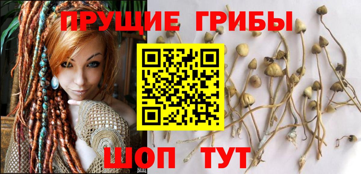 Псилоцибиновые грибы Magic Shrooms  Вход с VPN  Горно-Алтайск 