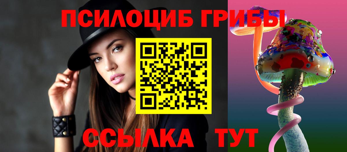 Псилоцибиновые грибы ЛСД Горно-Алтайск